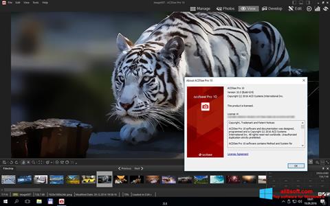 Screenshot ACDSee Pro para Windows 8