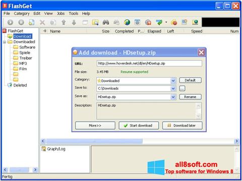Screenshot FlashGet para Windows 8