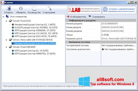 Screenshot R.saver para Windows 8