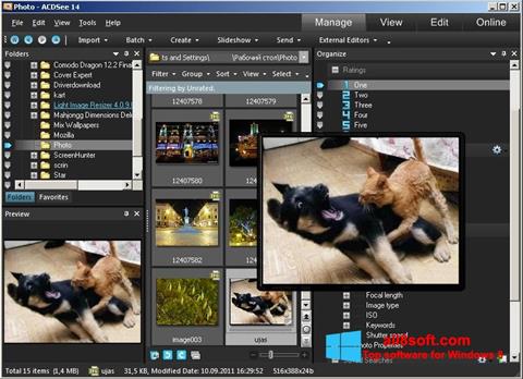 Screenshot ACDSee Photo Manager para Windows 8
