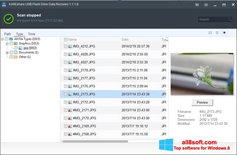 Screenshot USB Flash Drive Recovery para Windows 8