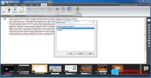 Screenshot Snagit para Windows 8