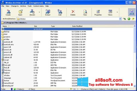 Screenshot WinAce para Windows 8