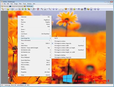 Screenshot XnView para Windows 8