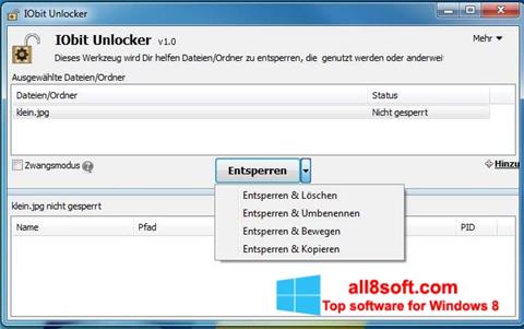 Screenshot IObit Unlocker para Windows 8