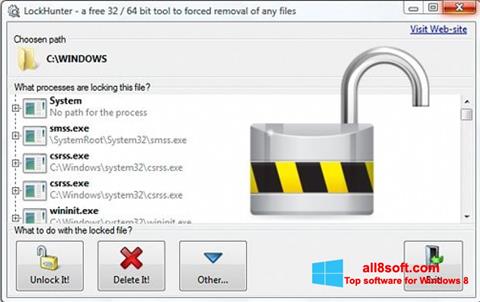 Screenshot LockHunter para Windows 8