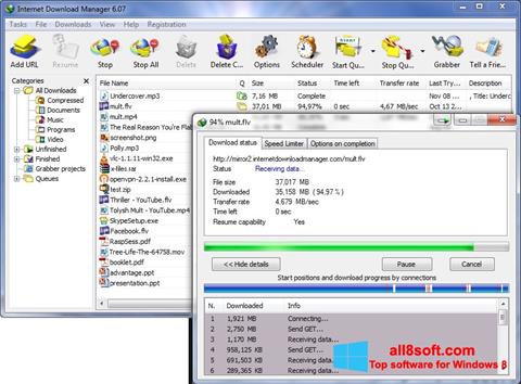 Screenshot Internet Download Manager para Windows 8