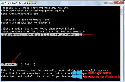 Screenshot TestDisk para Windows 8