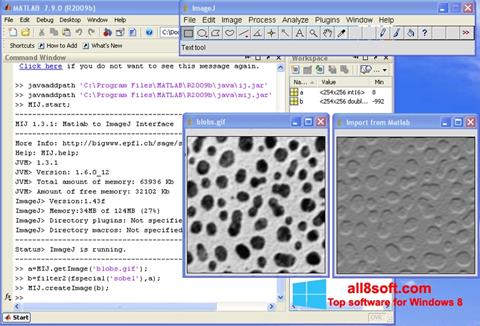 Screenshot ImageJ para Windows 8