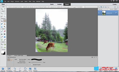 Screenshot Photoshop Elements para Windows 8