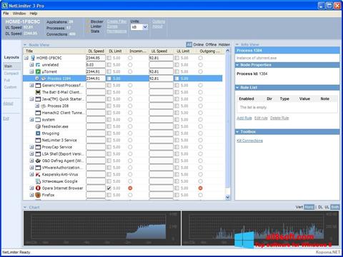 Screenshot NetLimiter para Windows 8