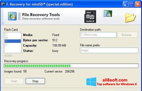 Screenshot F-Recovery SD para Windows 8