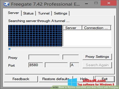 Screenshot Freegate para Windows 8