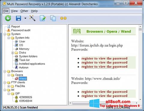 Screenshot Multi Password Recovery para Windows 8