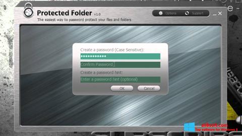 Screenshot Protected Folder para Windows 8