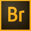 Adobe Bridge para Windows 8