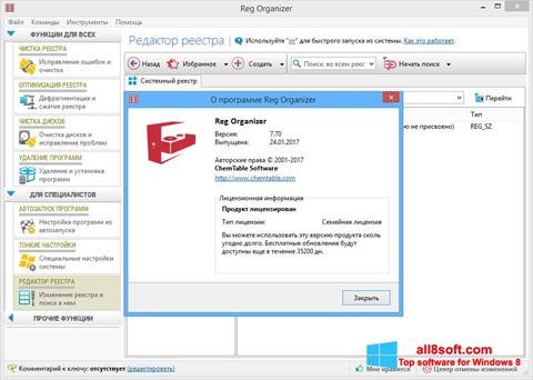 Screenshot Reg Organizer para Windows 8