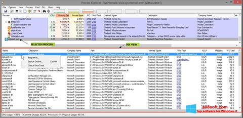 Screenshot Process Explorer para Windows 8