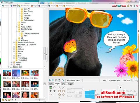 Screenshot PhotoScape para Windows 8