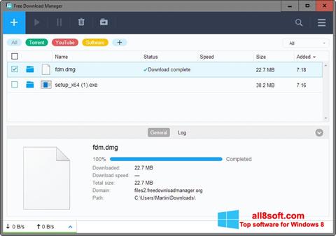 Screenshot Free Download Manager para Windows 8
