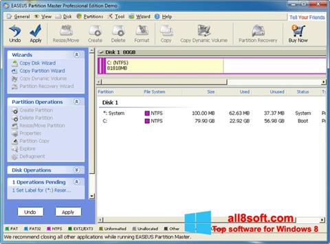 Screenshot EASEUS Partition Master para Windows 8